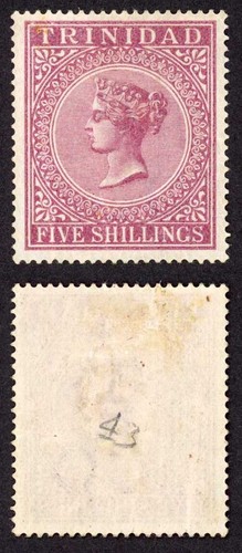 Trinidad sg113 marrone - trinidad,